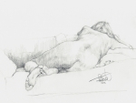 M4 Pencil on cartridge paper 220x370mm